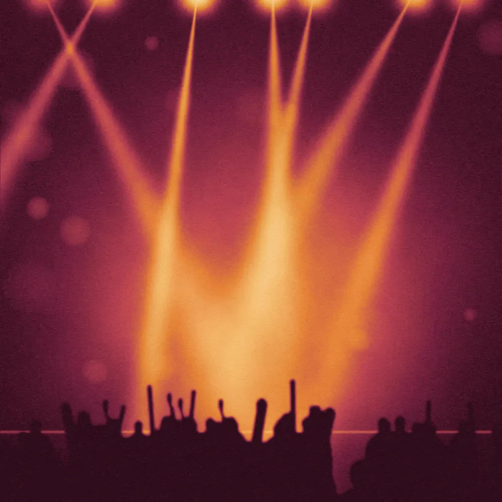 Dhol Dynasty — Light check