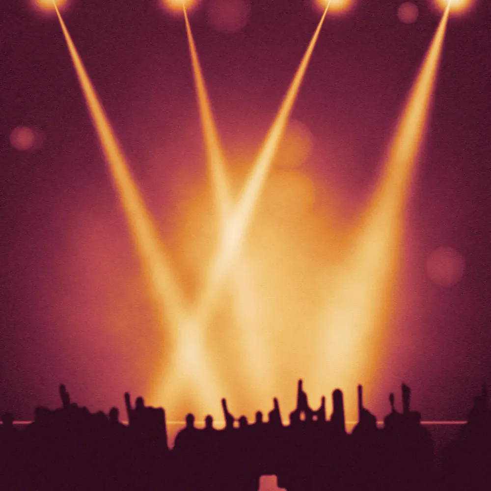 Zoya Fernandes — Light check